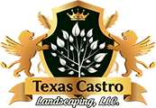 Texas Castro Landscaping LLC
